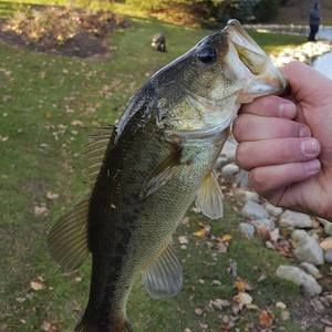 Meet your Posher, Jack